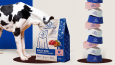 Snoutful — Pet Brand Identity