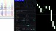 Meta Trader 4 ve 5 İçin Algoritmik Robotlar
