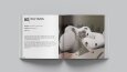Architectural Portfolio Design
