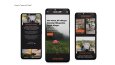 GoCamp Website UI/UX Design