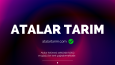 Marka İsmi - 6 Alternatifli