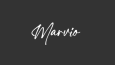 Portfolio Logo Tasarımı