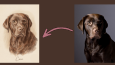 Fotoğrafınızı el çizimi pet portresine dönüştürüyorum