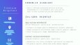İngilizce ve Türkçe dillerinde Profesyonel Cv