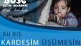 Broşür ve Afiş Tasarımları
