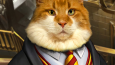 Harry Potter Evcil Hayvan Tasarım