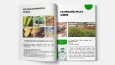Katalog Tasarımı
