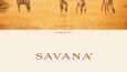 SAVANA - Wear - Marka Logo Tasarımı