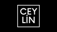 Kurumsal logo tasarımları yapıyorum