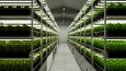 Farmlox - 3D Makine Görselleştirme