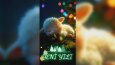 Yılbaşı Noel Kutlaması Videosu