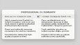 İngilizce - Türkçe Oyun Yerelleştirmesi ve CV Çevirisi Örneği