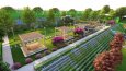Xeriscape Projects