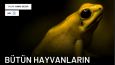 Özgün Popüler Bilim Makaleleri Yazıyorum