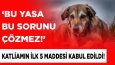 youtube kapak tasarım