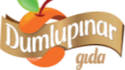 Logo Çalışmalarım