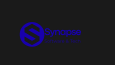 Synapse Software/Tech modern minimalistik logosu.