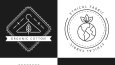 1 özel logo tasarımı  2 revizyon 24 saatte teslim