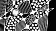 zentangle tasarımları