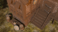 Viking Evi
