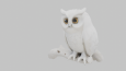 Profesyonel 3D Modelleme & Görselleştirme