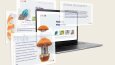 Web Sitesi Tasarımı
