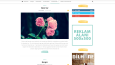 Wordpress Newspaper - Tema Kurulumu ve Optimizasyonu