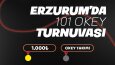 Özenle hazırlanmış afiş çalışmaları
