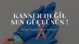 İşletme İçerik Tasarımları
