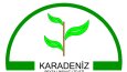 Logo Sanatıyla Tanışın