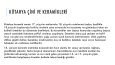 ÇİNİLİ KÖŞK SUNUM
