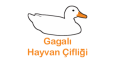 Özgün El Yapımı Logo Tasarımı