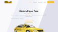 Web Tasarımlar