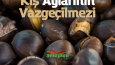 Sosyal Medya Çalışmaları