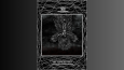 Fallen Angel Tarot Serisi