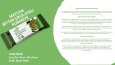 Matcha Kurabiyeler