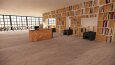 İç mekan ve 3D model render örnekleri
