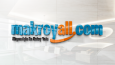 Profesyonel Logo Tasarım