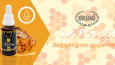 Banner Tasarım