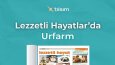 Sosyal Medya Tasarımları