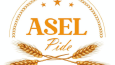 Kurumsal Logo Tasarımı
