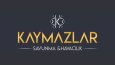 Profesyonel logo tasarımı yapıyoruz