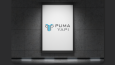 Puma Yapı & İnşaat