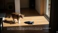 FURRY-SMART CAT TOY