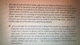 Essay Çevirisi