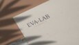Logo Designs