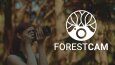 ForestCam - Konsept Logo Çalışması