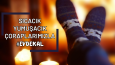 Sosyal Medya Tasarımları