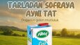 Sosyal medya post tasarımları