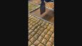 PürTat Baklavaları Instagram Reels Çalışması